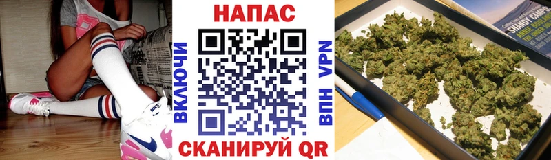 Продажа наркотиков Сысерть Героин Гашиш Галлюциногенные грибы