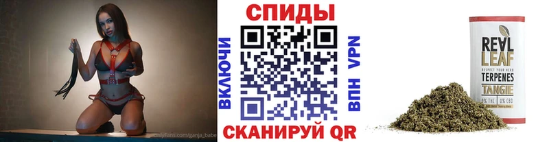 как найти закладки  Сысерть  Бутират вода 