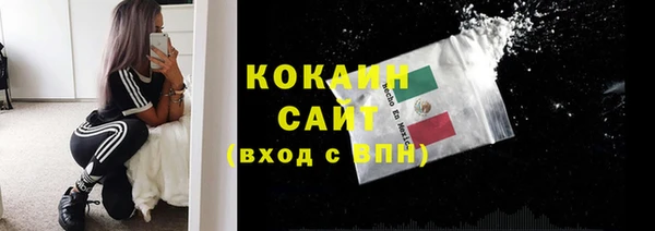 a pvp Аркадак