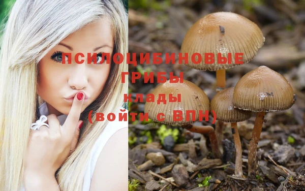 a pvp Аркадак