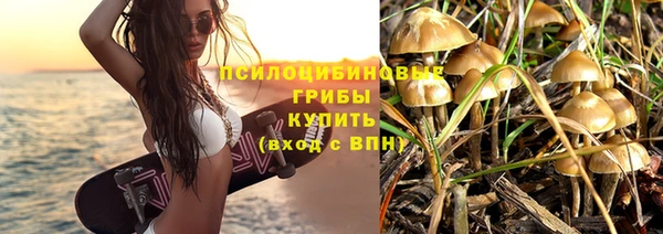дмт Армянск