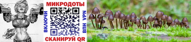 Галлюциногенные грибы MAGIC MUSHROOMS  blacksprut ссылка  Сысерть 